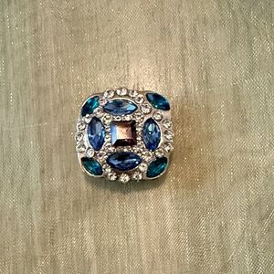 Elegant Blue and Silver Ginger Snap